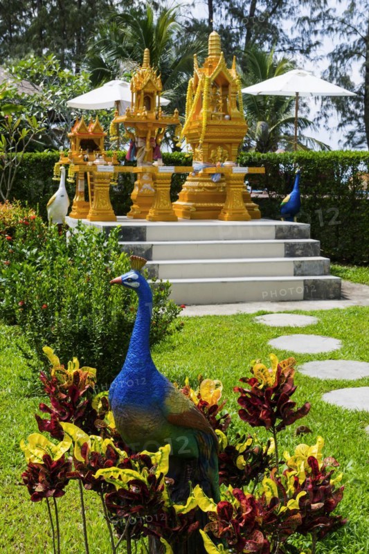 Small Buddhist temple, decorated, golden, gilded, religion, faith, world religion, Buddhism, Asian, pilgrimage site, worship, god, deity, icon, sculpture, Ko Lanta, Thailand, Asia