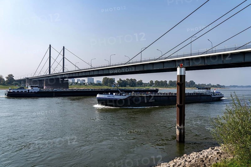 The Theodor-Heuss-Bridge, Rhine crossing, cable-stayed bridge, first road bridge of the so-called Düsseldorf bridge family, is dilapidated, concrete damage, closed to vehicles over 30 tonnes total weight, planning of a new replacement has started, Düsseldorf, North Rhine-Westphalia, Germany, Europe