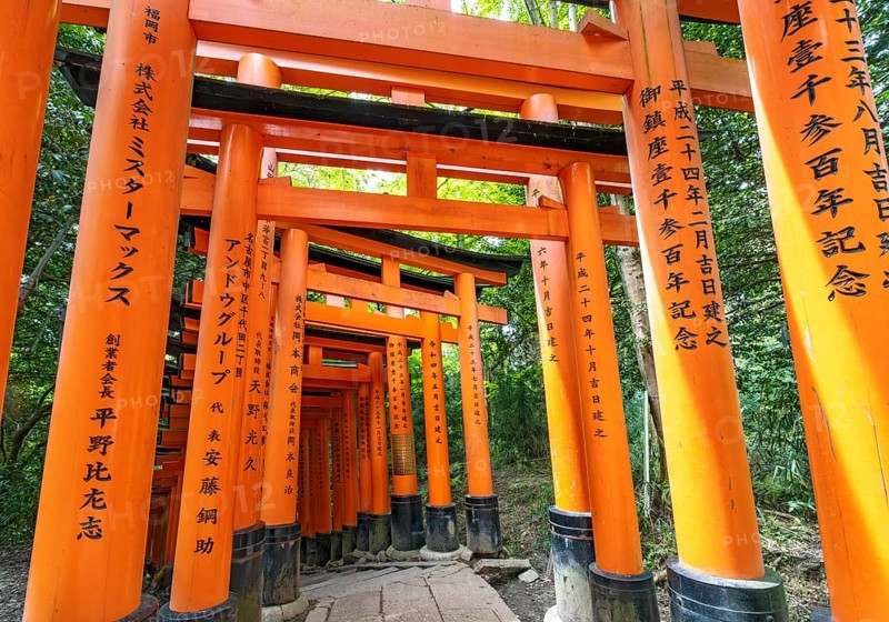 Torii path, Fushimi Inari-Taisha shrine, Kyoto, Japan, Asia