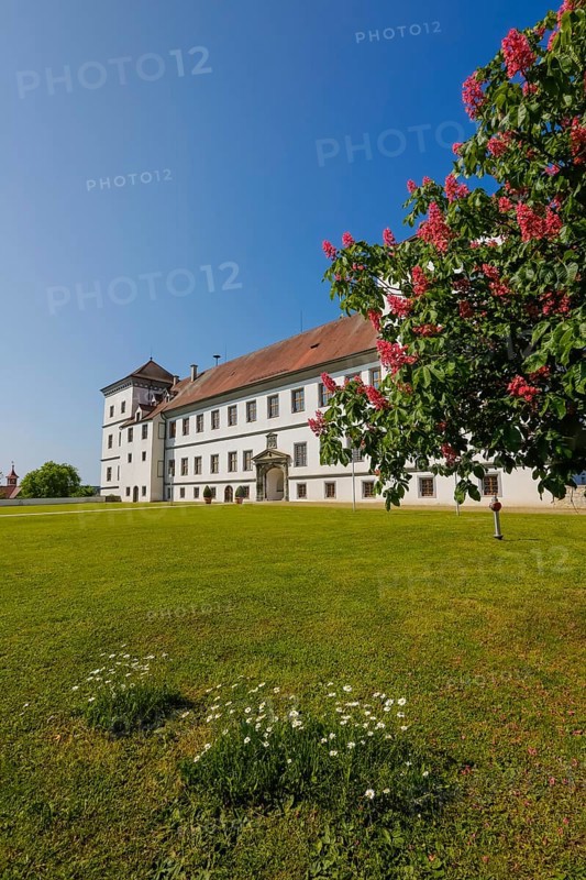Meßkirch Castle, Castle of the Counts of Zimmern, Zimmern Castle, regular four-wing castle complex, Renaissance building, architecture, historical building, east view, park, castle garden, window, façade, lawn, meadow, Meßkirch, Sigmaringen district, Baden-Württemberg. Germany