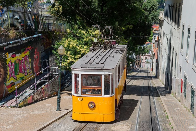 Yellow tram descends past wall art and green trees, funicular railway, Ascensor da Glória, Old Town, Lisbon, Lisboa, Portugal, Europe