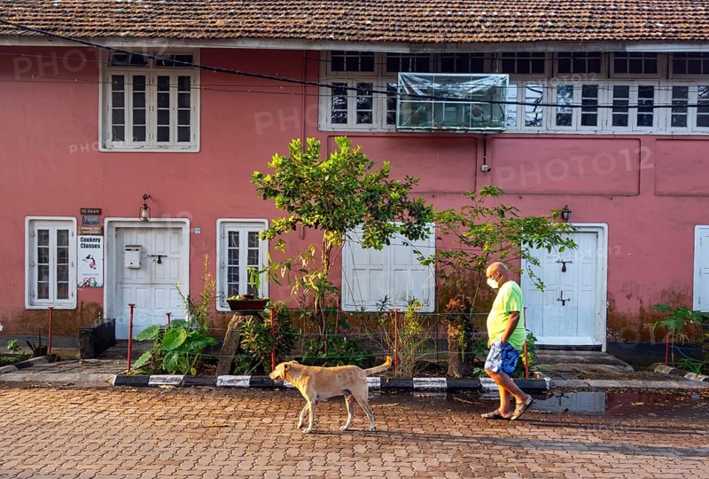Man walks a dog in front of colourful house, Fort Kochi, Cochin, Kerala, India, Asia