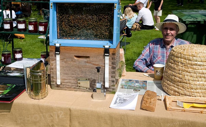 Demonstration of beekeeping with glass sided hive during a country fair event at Helmingham Hall, Suffolk, England, United Kingdom, Europe
