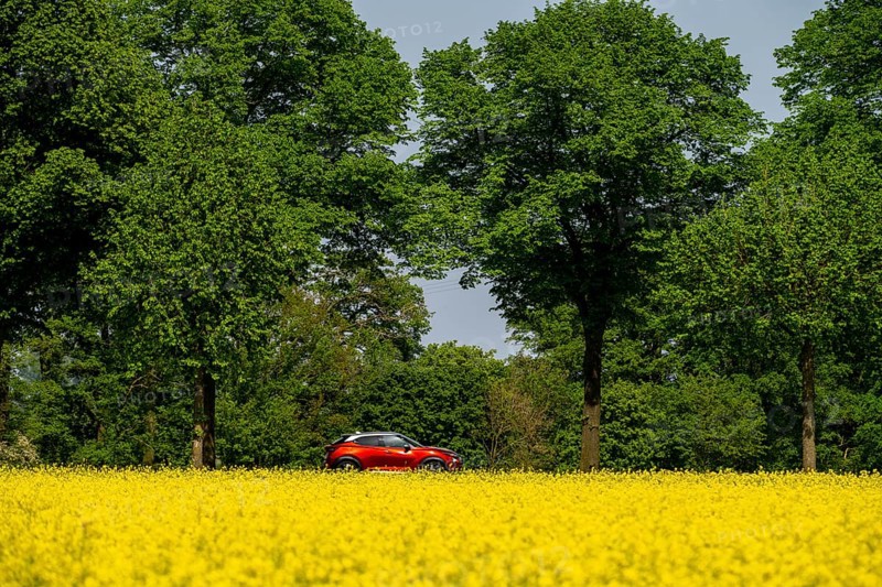 Landscape on the Lower Rhine, federal road B57, between Xanten and Kalkar, road traffic, North Rhine-Westphalia, Germany, Europe