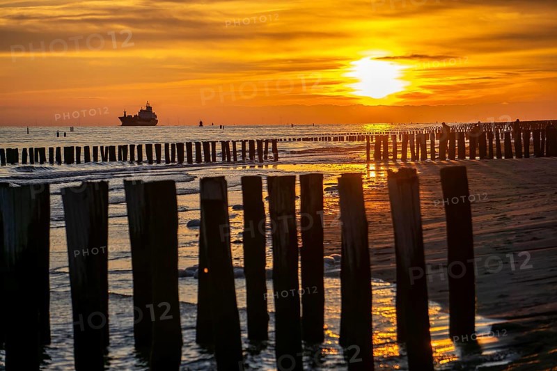 Sunset on the beach of Zoutelande, beach with wooden pile breakwaters, cargo ship sailing towards the Westerschelde, Zeeland, Netherlands