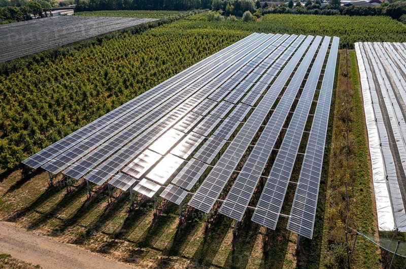 Agri-photovoltaic test plant, an apple orchard with two different systems of PV modules was roofed over 3000 square metres, rain and sunlight comes through, at the same time protection against hail and heavy rain, next to it are the same trees but without a solar roof, as a comparison object, how the PV roof affects the trees and harvest, the field test is accompanied by the Fraunhofer Institute for Solar Energy Systems ISE, in Grafschaft-Gelsdorf, Rhineland-Palatinate, Germany, Europe
