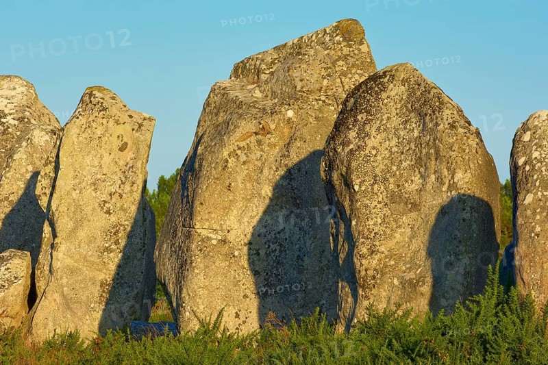 Neolithic menhirs, standing stones in Carnac with sunrise, Carnac, Quiberon, Morbihan, Brittany, France, Europe