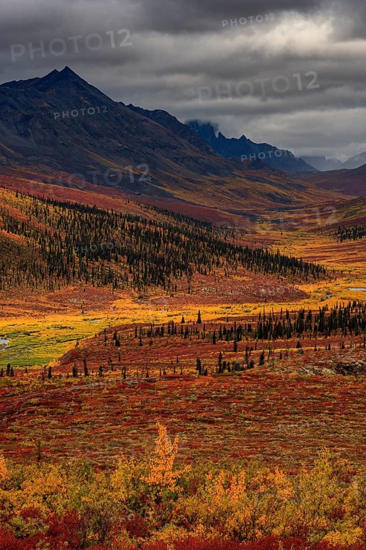 Autumn coloured tundra, mountains, clouds, Tombstone Territorial Park, Dempster Highway, Yukon, Canada, North America