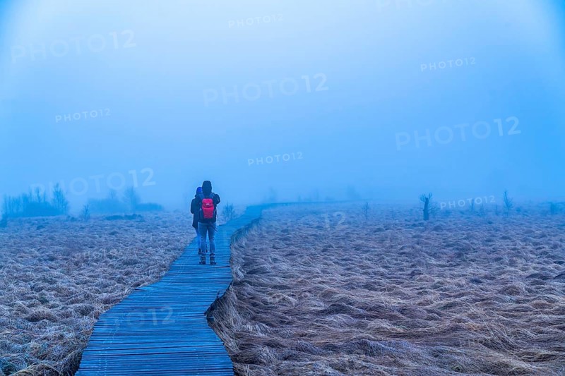 The High Fens nature park Park, in the German-Belgian border region near Eupen, winter, fog, wooden plank paths north-east of the Baraque Michel, Eupen, Belgium, Europe