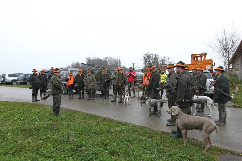Hunting guide giving a speech to hunters and beaters in front of the start of the hunt for brown hares (Lepus europaeus) and pheasants (Phasianus colchicus) Lower Austria, Austria, Europe