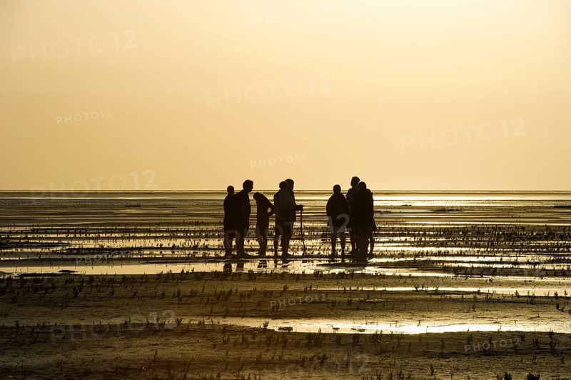 Hiker in the mudflats, sunset, Wyk, Föhr, North Frisia, Schleswig-Holstein, Germany, Europe