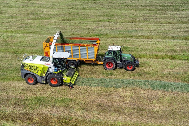 Hay harvest, on a Rhine meadow near Duisburg-Beeckerwerth, a forage harvester picks up the cut grass, which was piled up in strips after cutting, and loads it into a silage wagon, cattle feed, North Rhine-Westphalia, Germany, Europe