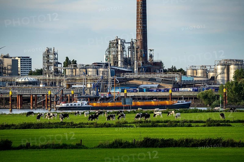 Cargo ship on the Rhine near Emmerich, Kao Chemicals scenery, KLK, Left Rhine pastures, Left Rhine, Lower Rhine, North Rhine-Westphalia, Germany, Europe
