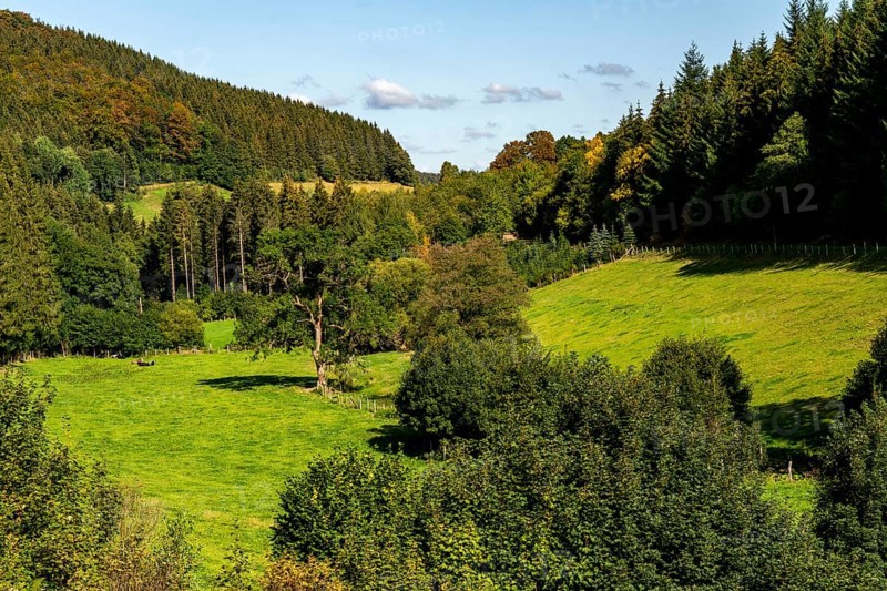 The Valmetal, near the village of Obervalme, landscape in the Sauerland, Hochsauerlandkreis, North Rhine-Westphalia, Germany, Europe