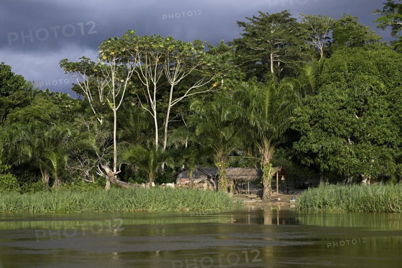 Hut on the Sangha River, Dzanga-Sangha Complex of Protected Areas (DSPAC), Sangha-Mbaéré Prefecture, Central African Republic, Africa