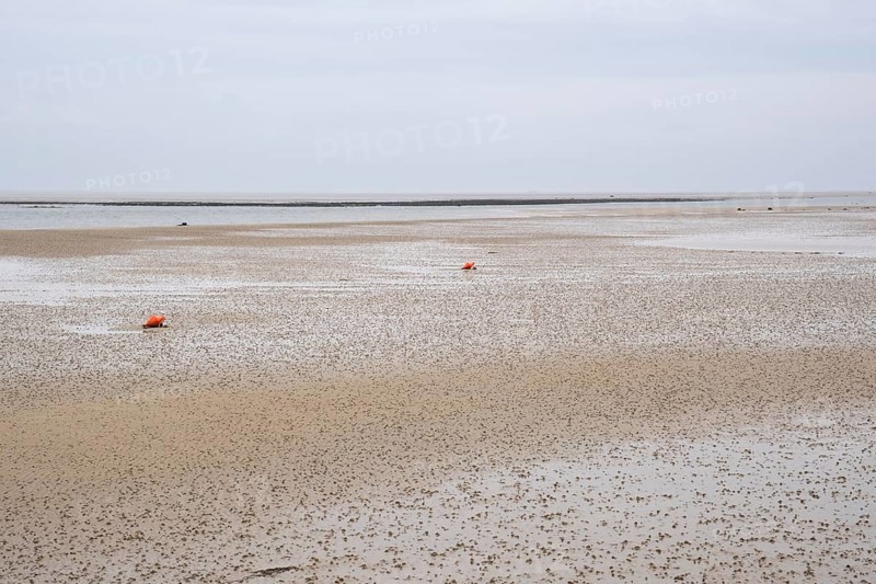 Wadden Sea at low tide with numerous piles of lugworms, two buoys, Utersum, Föhr, North Sea island, North Frisia, Schleswig-Holstein, Germany, Europe