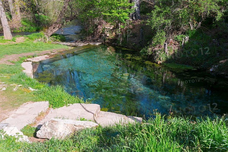Idyllische Frühlingslandschaft mit einer klaren Quelle, grüner Vegetation und sonnendurchfluteten Bäumen, natürliche warme Quelle, Fuente de la Salud, am Fluss Duratón, Sepúlveda, Sepulveda, Segovia, Kastilien und León, Spanien