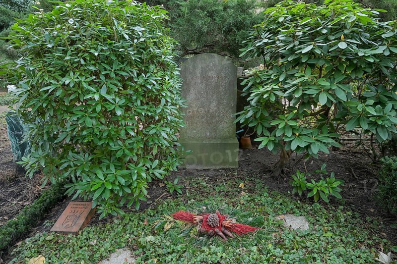 Egyptologist Johann Peter Adolf Erman, grave, Waldfriedhof Dahlem, Hüttenweg, Steglitz-Zehlendorf, Berlin, Germany, Europe