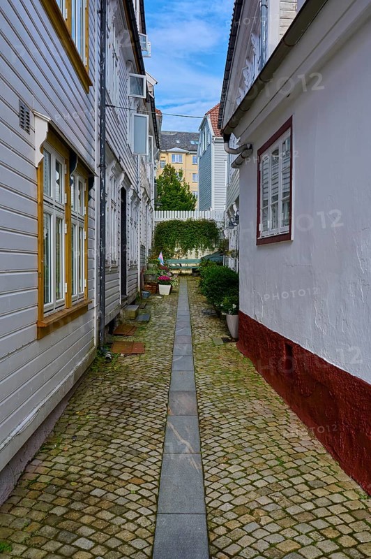 Historic town centre of Bergen with narrow streets and cobblestones surrounded by traditional half-timbered houses and plants, peaceful atmosphere under a clear sky, Bergen, Vestland, Norway, Europe