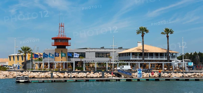 Harbour view with buildings and palm trees on a sunny day, Vilamoura, Faro, Algarve, Portugal, Europe