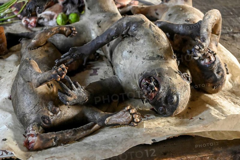 Bushmeat at a market, monkey meat, poaching, Ouésso, Sangha department, Republic of Congo