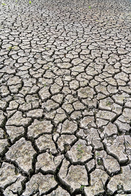 Dry ground, cracked, dried-up riverbed, in a branch of the Rhine, near Duisburg