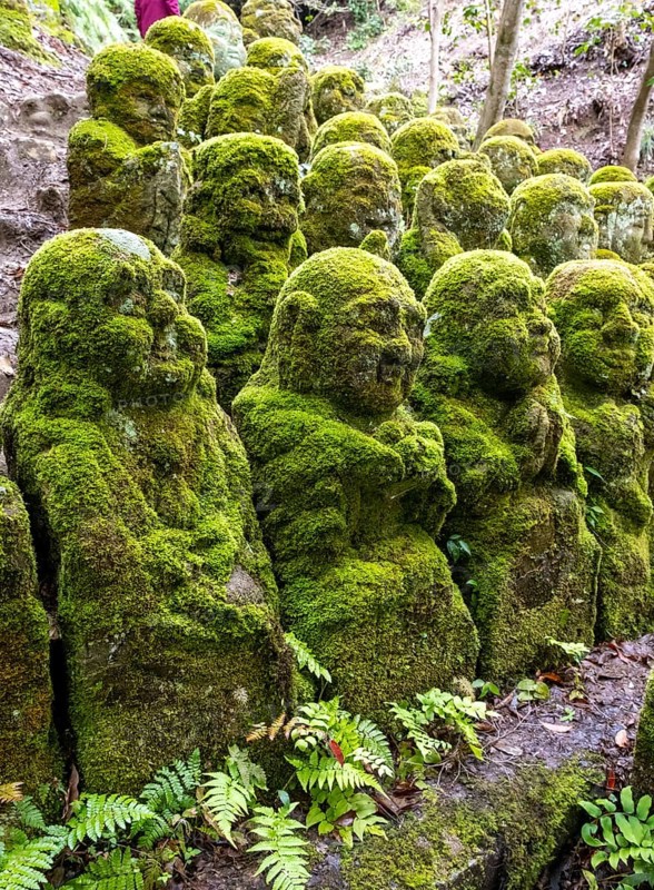 Moss-covered stone statues of rakans, the disciples of Buddha, Otagi Nenbutsu-ji temple, Kyoto, Japan, Asia