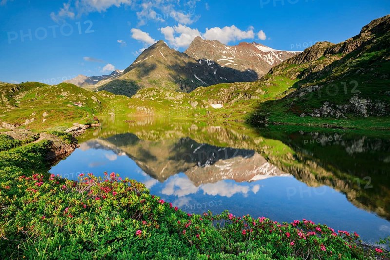 Chli Sustenhorn and Sustenhorn reflected in the Seebodensee, Canton Bern, Switzerland, Europe