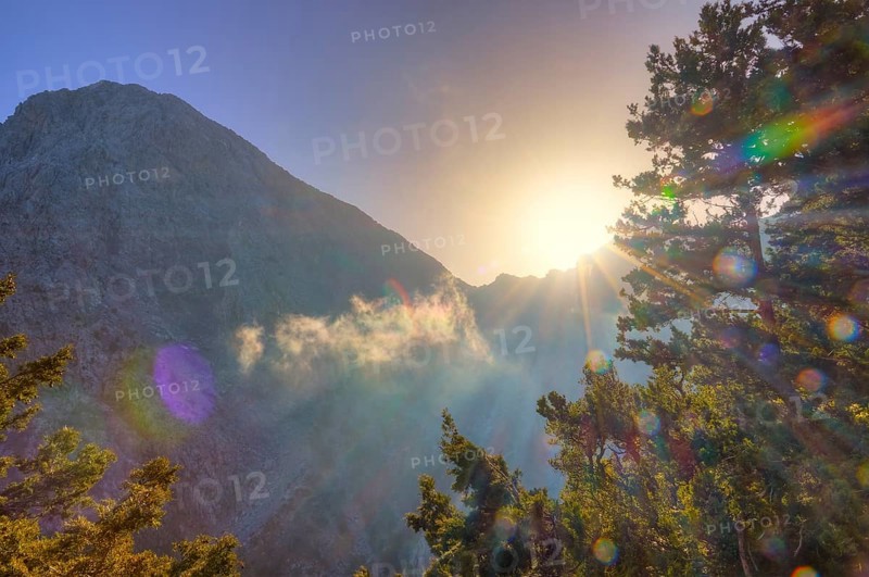 Sunlight penetrating through the mist and trees in a mountain landscape, entrance to the Samaria Gorge, summit of Gingilos, Omalos Plateau, Lefka Ori, White Mountains, mountain massif, west, Crete, Greece, Europe
