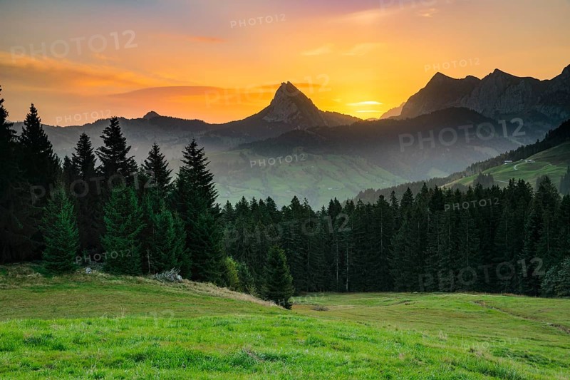 Morning view from the Sattelegg with Chöpfenberg, Tierberg and Bockmattli in the background, Canton Schwyz, Switzerland, Europe