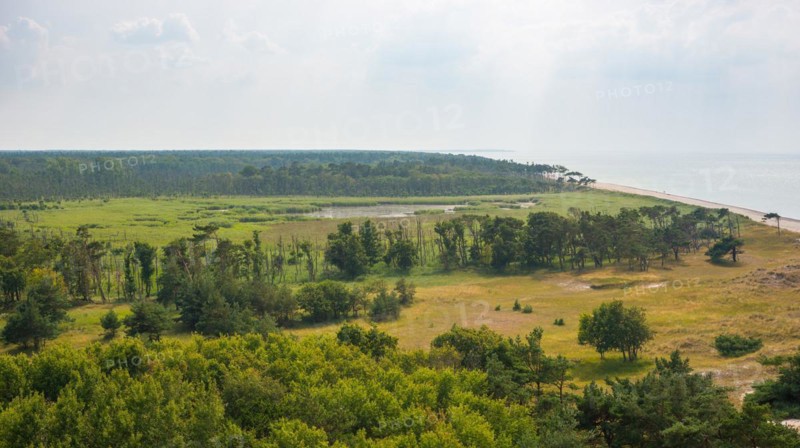 Coastal landscape at the western beach, sandy beach, reed and moor areas, pond, Darß forest, pine trees (Pinus), Darsser Ort, sea and cloudy sky, summer, view from the lighthouse Darßer Ort, nature reserve, national geotope, National Park Vorpommersche Boddenlandschaft, peninsula Fischland-Darß-Zingst, Baltic Sea, Mecklenburg-Western Pomerania, Germany, Europe