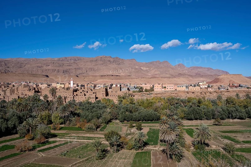 Oasis with traditional mud houses and date palms, on the edge of the Todra Gorge or Gorges du Toudra, near Tinghir, Morocco, Africa