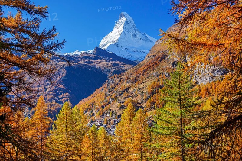 Autumn view of the Matterhorn 4478m and golden yellow larches, Zermatt, Mattertal, Valais, Switzerland, Europe