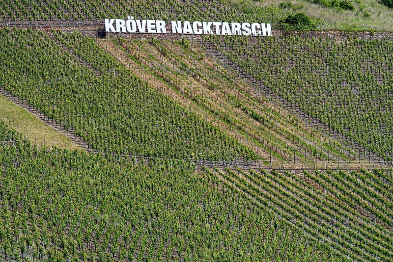 Kröver Nacktarsch vineyard, Moselle, Rhineland-Palatinate, Germany, Europe