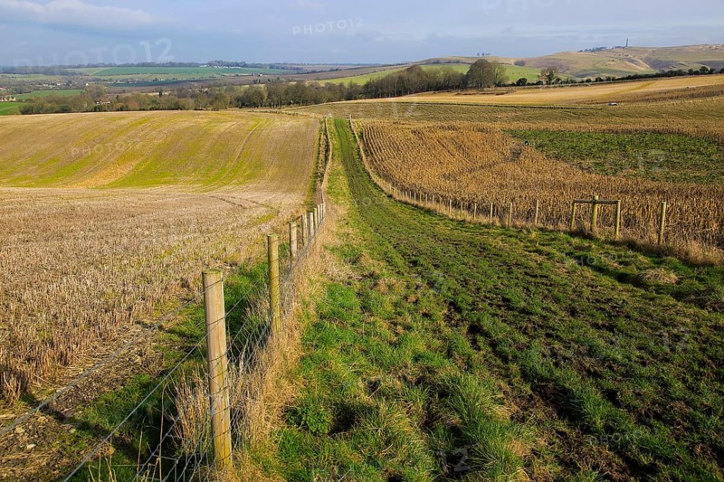 Chalk landscape view to Lansdowne monument, Cherhill, North Wessex Downs, Wiltshire, England, UK near Calstone Wellington