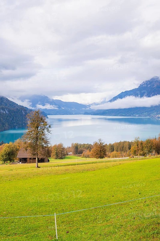 Green shore meadows lead to a quiet mountain lake under a dramatic sky, Lake Brienz, Switzerland, Europe