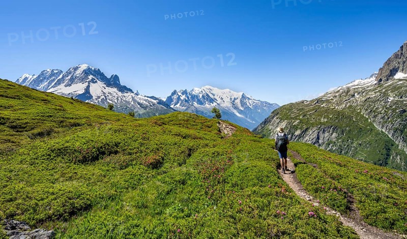 Mountaineer on hiking trail, mountain panorama with glaciated mountain peaks, Aiguille Verte with Aiguille du Midi and Mont Blanc, hike to Aiguillette des Posettes, Chamonix, Haute-Savoie, France, Europe