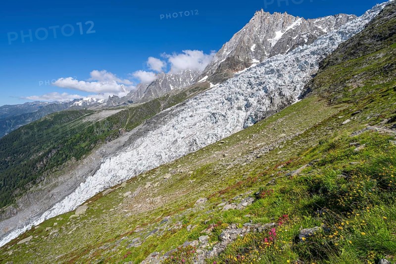 Mountain landscape with glacier Glacier des Bossons and summit of the Aiguille du Midi, Chamonix, Haute-Savoie, France, Europe