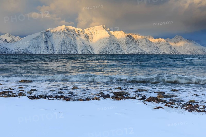 Snow-covered coast and mountains in the morning light, cloudy mood, sea, waves, Lyngen Alps, Norway, Europe