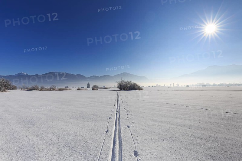 Cross-country skiing, ski track, snow, sunbeams, sunny, cold, Loisach-Lake Kochel-Moor, Alpine foothills, Bavaria, Germany, Europe