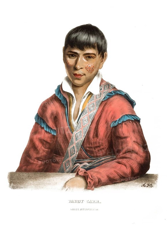 American Indian, Native American, Paddy-Carr, son of an Irish immigrant and a Creek woman, United States of America, USA, Painting by Charles Bird King (1785, 1862), c. 1840, Historic, digitally restored reproduction from a 19th century original, Record date not stated, North America