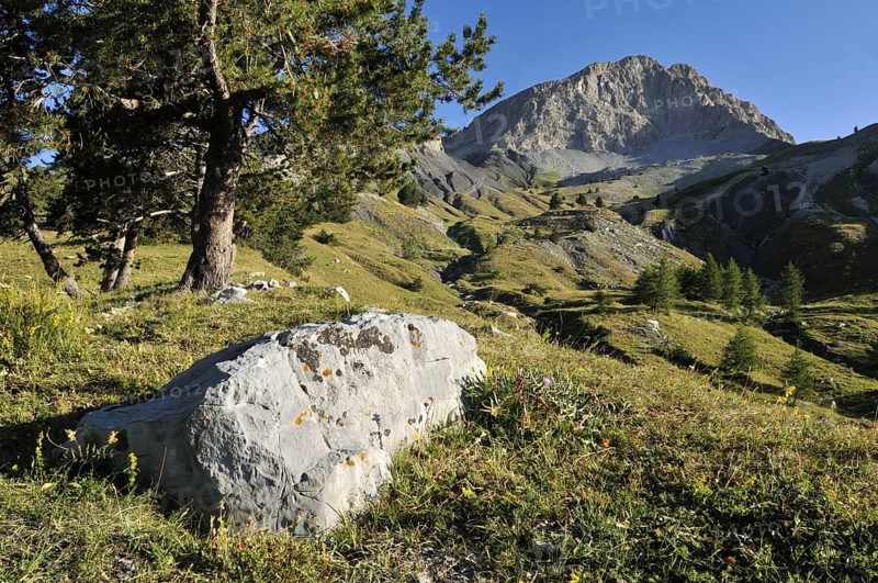 France, Mercantour National Park