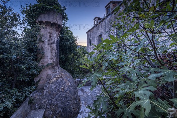 Decaying ruin overgrown by plants, surrounded by dense vegetation at dusk, Lastovo, Neretva, Croatia, Europe