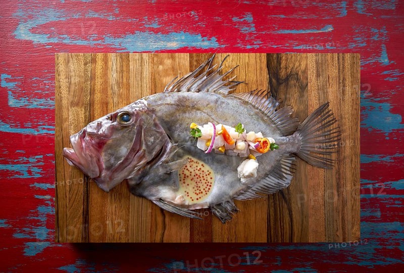 Ceviche modern cuisine of San Pedro fish Zeus faber