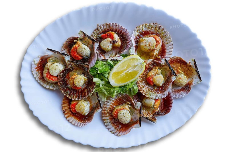 Zamburinas scallops recipe typical from Galicia Spain