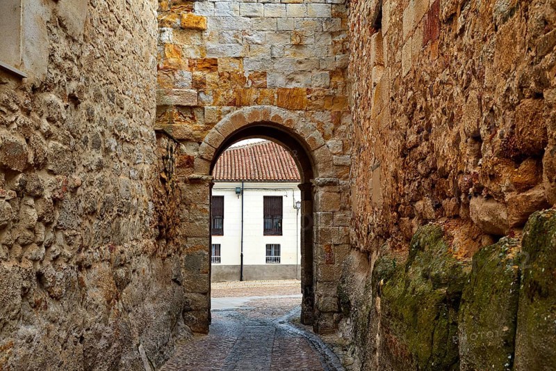 Zamora door of Dona Urraca in Spain by the via de la Plata way to Santiago