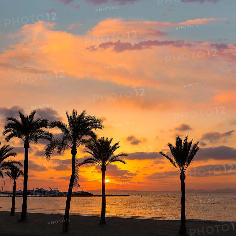 Majorca El Arenal sArenal beach sunset near Palma de Mallorca in Balearic Islands spain