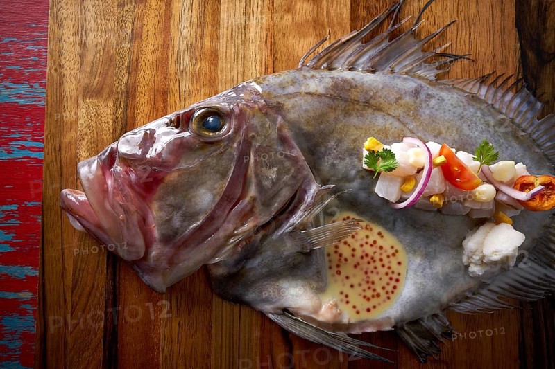 Ceviche modern cuisine of San Pedro fish Zeus faber