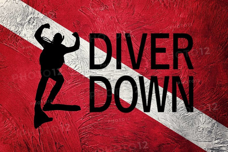 Diver Down Flag, Diver Silhouette, Vintage Style Scuba flag