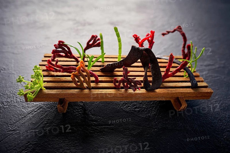 Codium seaweed salad modern cuisine with marine fennel and colorful algae